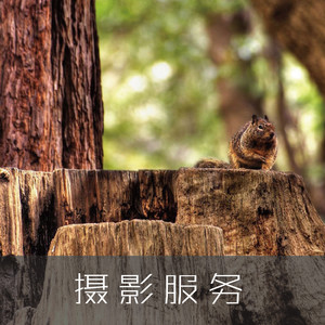 南京服装摄影服务 淘宝拍摄、网店装修与模特静物一站式解决方案